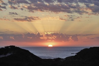 Wilsons Promontory N P