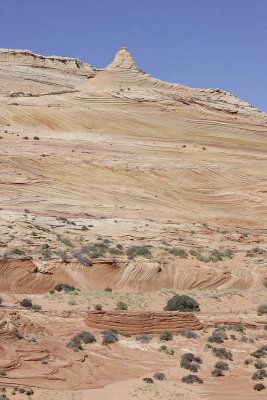 View from the entrance of the Wave