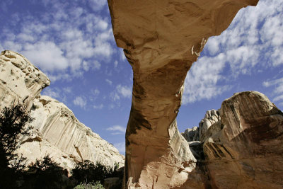 Hickman Bridge