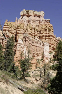 Navajo Loop Trail