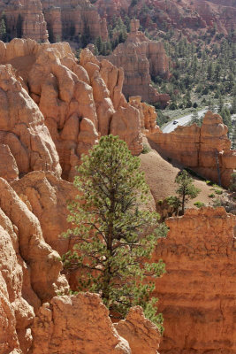 Red Canyon, on the way to Bryce