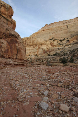 Grand Wash Trail