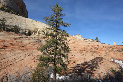 Checkerboard Mesa area