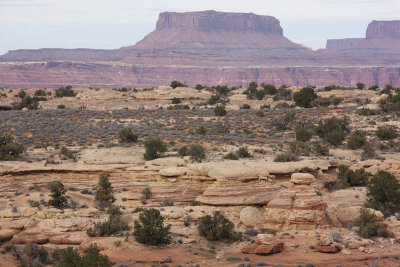 View from the Pothole Trail