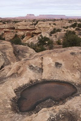 Pothole Trail