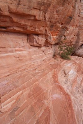 White Domes Trail