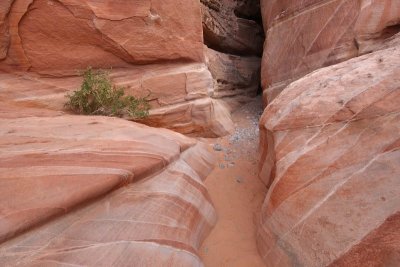 White Domes Trail, the way out of the narrow canyon