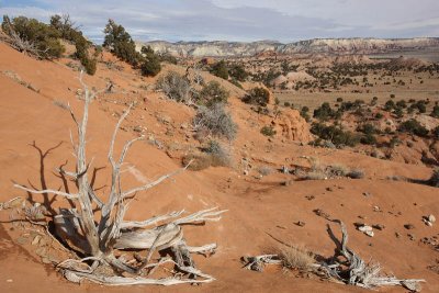 Slickrock Cutoff Trail