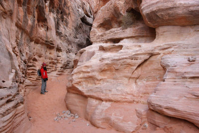 White Domes Trail, the entrance of the narrow canyon