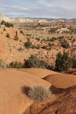 Slickrock Cutoff Trail