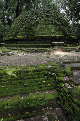 Dagoba at Namal Uyana Conservation Forest