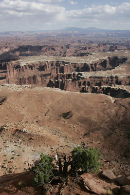 Grand View Point Overlook