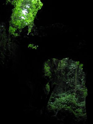 Bat Cave - Bukit Lawang