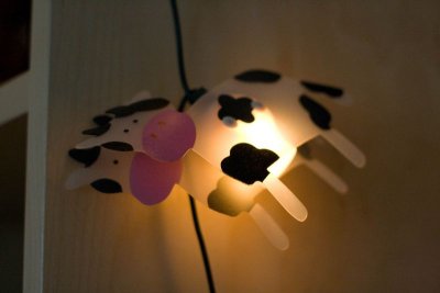 IMG_6305.jpg