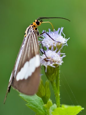g1/59/884059/3/115925370.EDXkcMLL.jpg