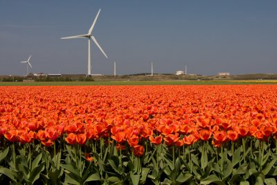 Noord Holland 2008