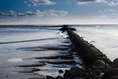 Holwerd 2008