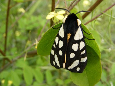 DSCF3390.JPG