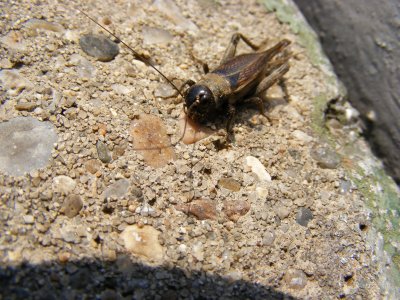 DSCF3624.JPG