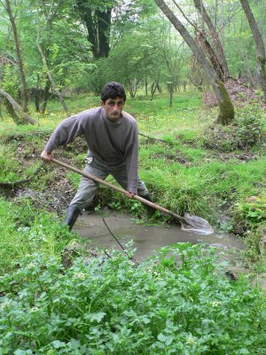 clearing up the spring (ali )