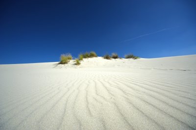 Dune Porto Pino
