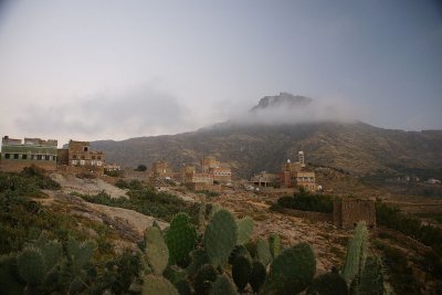 dop7.jpg
