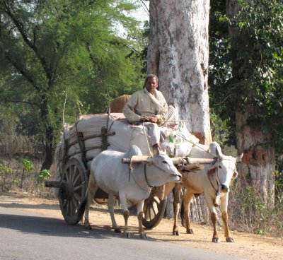 People of India