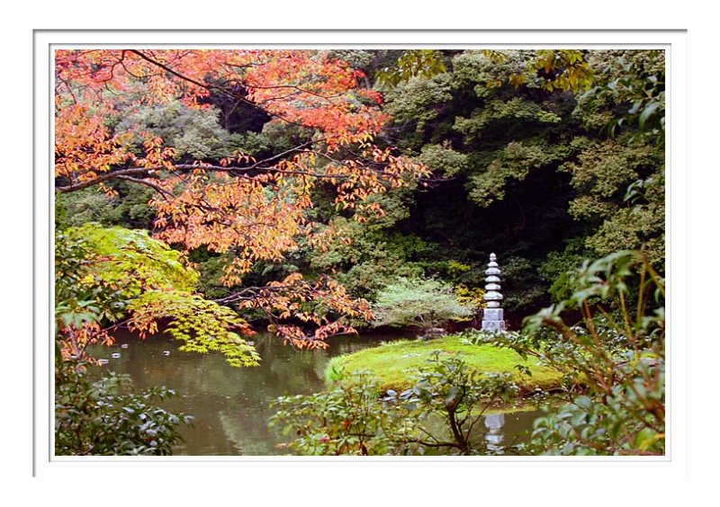 Kinkakuji Temple 4