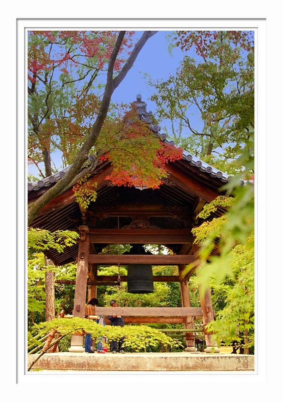 Kinkakuji Temple 5