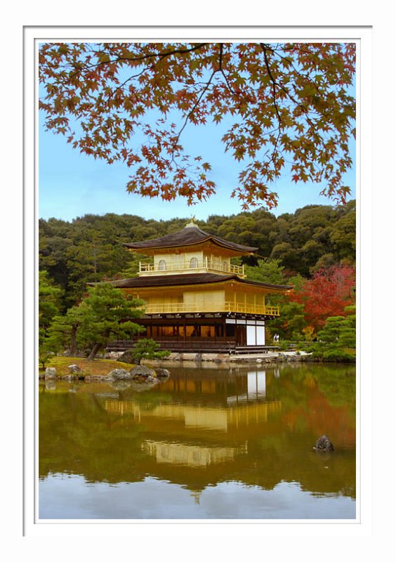 Kinkakuji Temple 1