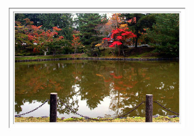 Nara Park 1
