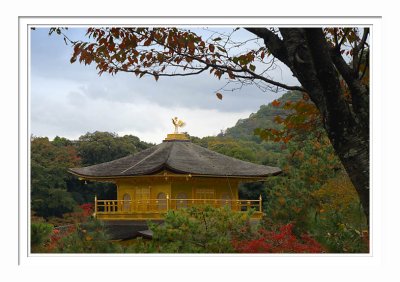 Kinkakuji Temple 3