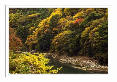 Arashiyama 2