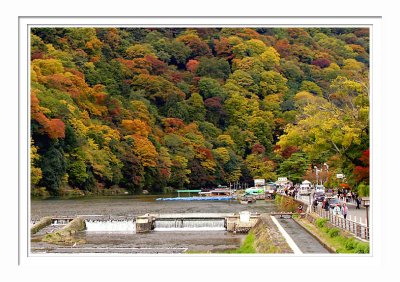 Fall Colors - Arashiyama