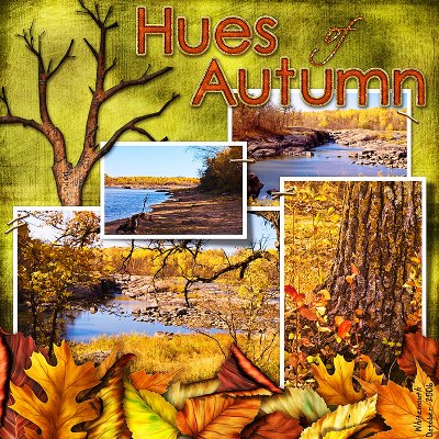 Hues of Autumn