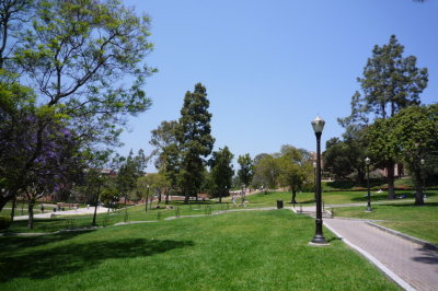 UCLA