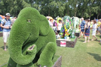 Royal Hospital Chelsea (herd gathering day