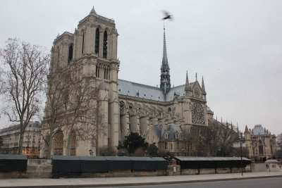 聖母院 Cathdrale Notre Dame