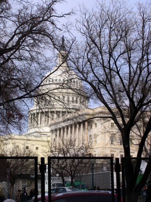 shot of capitol while in line for tix.jpg