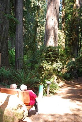 ANOTHER COUPLE IN THE CRANE NECK POSE IN REDWOOD NATIONAL PARK