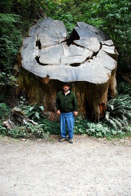DON BELOW THE STUMP OF AN OLD GROWTH GIANT