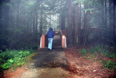 ENTERING THE LADY BIRD GROVE IN EARLY MORNING OVER ROAD BRIDGE