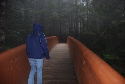 LEAVING THE LADY BIRD GROVE- OVER THE BRIDGE-WHAT AN EXPERIENCE