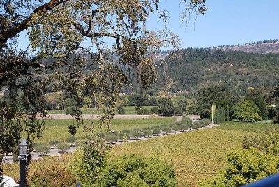 IT WAS A BEAUTIFUL DAY IN THE NAPA VALLEY FOR OUR VISIT TO GREYSTONE