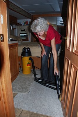 SARA IS THE CONSUMATE HOUSEKEEPER-SHE CLEANS EVERY DAY AND THE DUST BUNNIES DISAPPEAR
