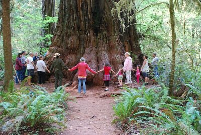 SARA WITH A GROUP OF EXPLORERS IN REDWOOD NATIONAL PARK