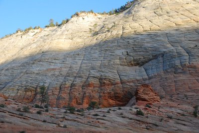 THE FAMOUS CHECKERBOARD EROSION ON THE CLIFFS OF ZION