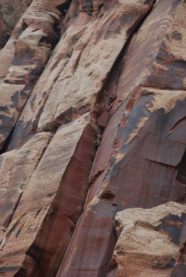 WE SPOTTED THIS CLIMBER ON A SHEER ROCK FACE AS WE LEFT THE PARK....CAN YOU SEE HIM???
