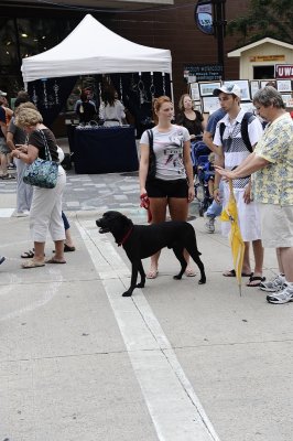 DOGS ARE NOT ALLOWED AT THE FARMER'S MARKET ON THE SQUARE