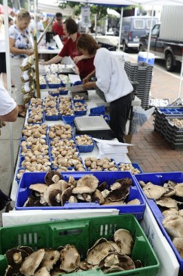 THERE IS EVEN A VENDOR THAT SELLS JUST MUSHROOMS